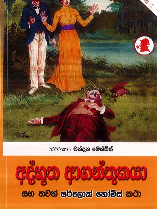 අද්භූත ආගන්තුකයා‍