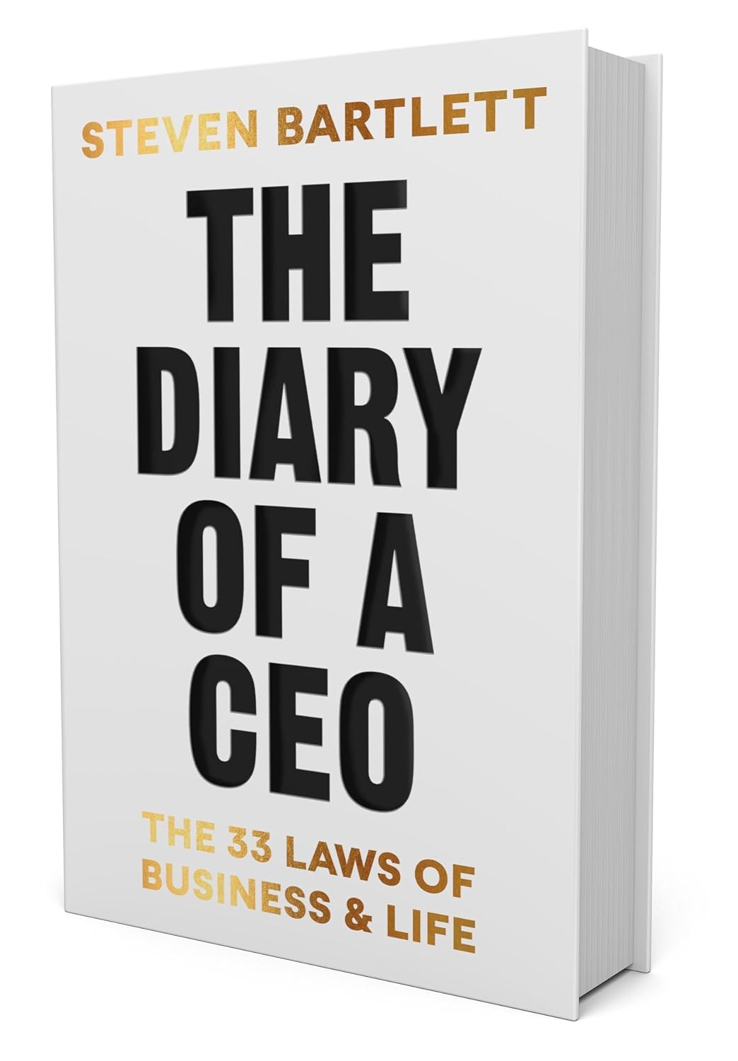 Diary of CEO