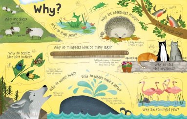 USBORNE Question and answers about animals