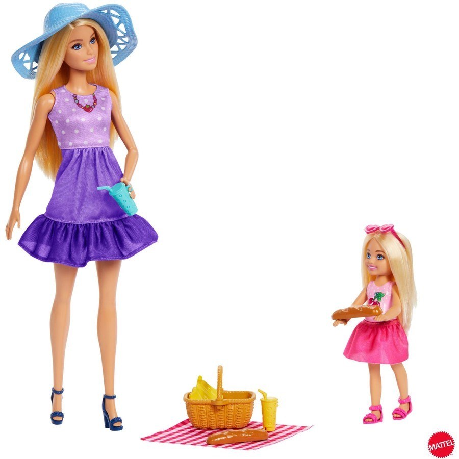 Barbie Family & Friends Picnic Playset